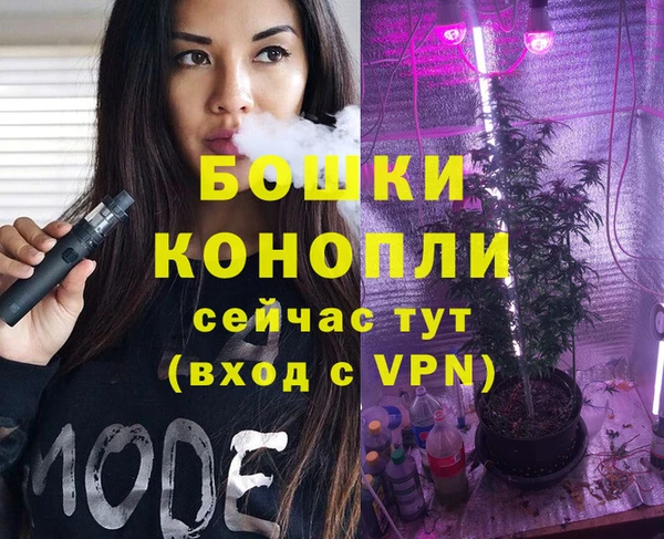 стафф Снежногорск