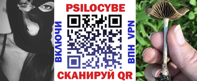 Псилоцибиновые грибы мухоморы  цены   kraken онион  Городище 